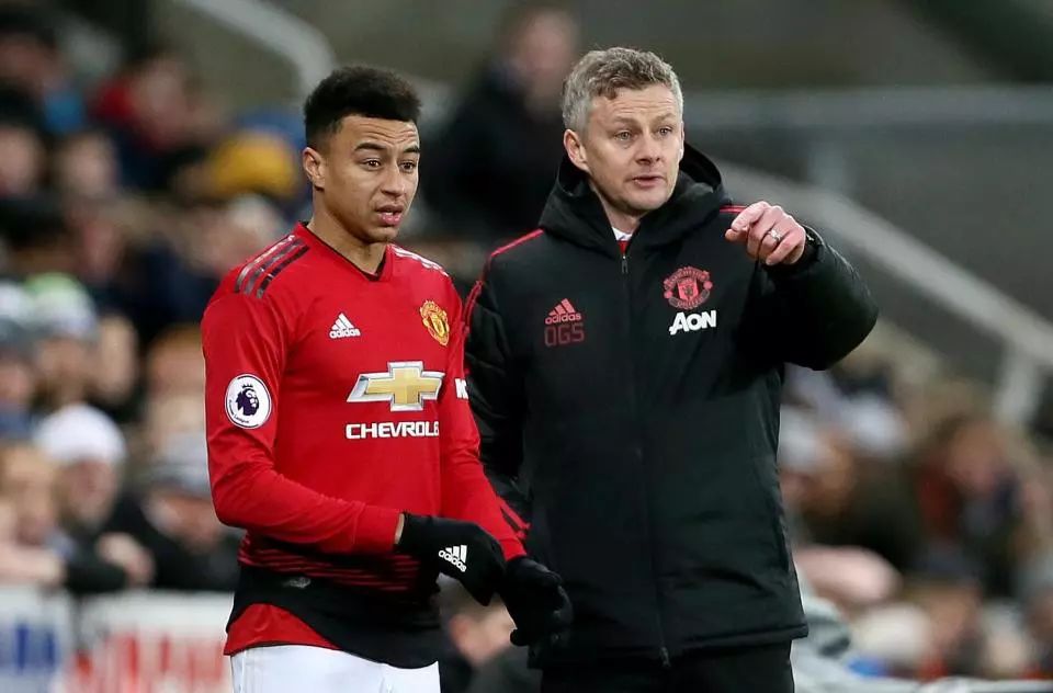 和适应能力 和适应能力