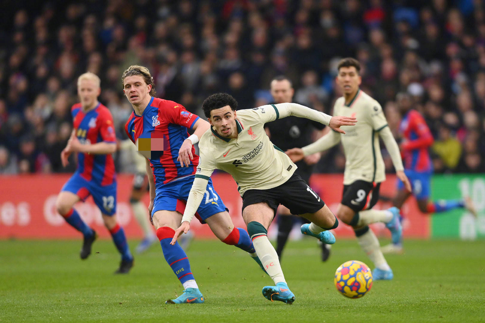 复方案和顽 复方案和顽